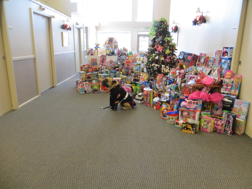 toysfortots2013saltlakesurgicalcentertoypickup.jpg