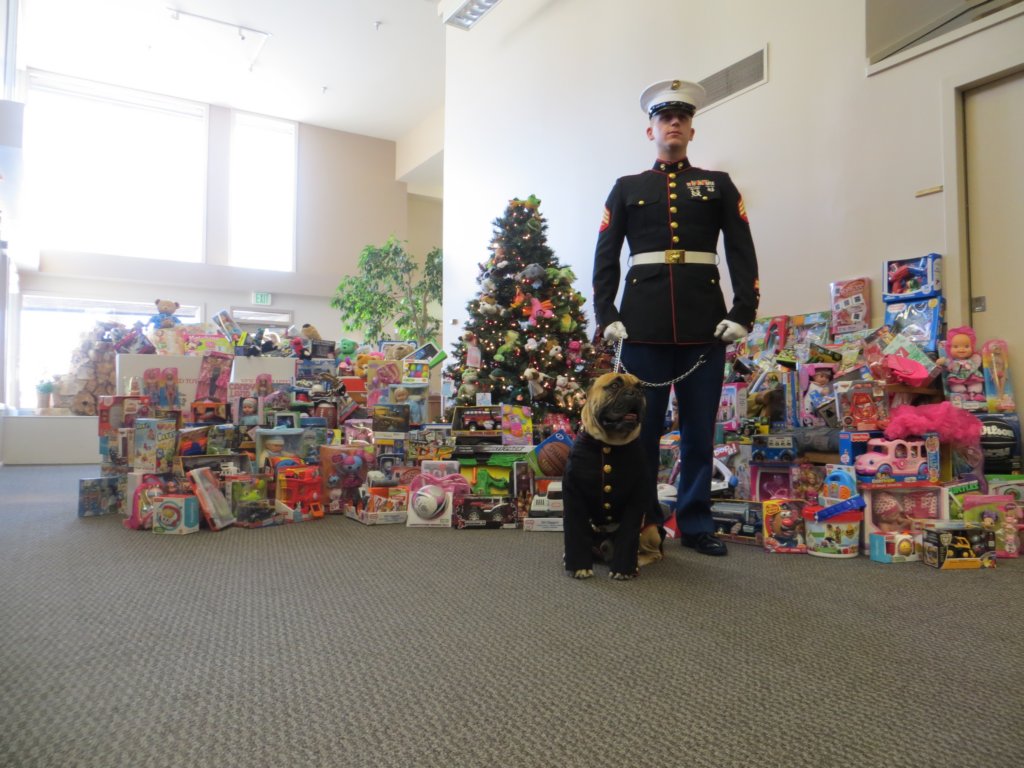 toysfortots2013saltlakesurgicalcentertoypickup5.jpg