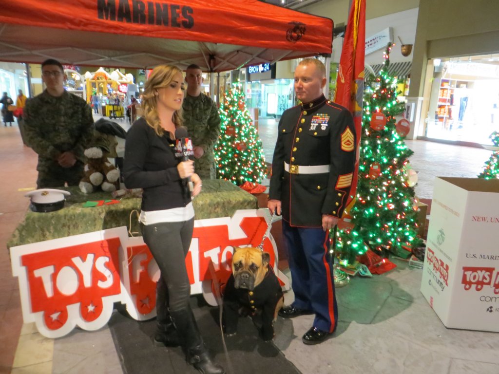 toysfortots2013valleyfairmalltoydrive17.jpg